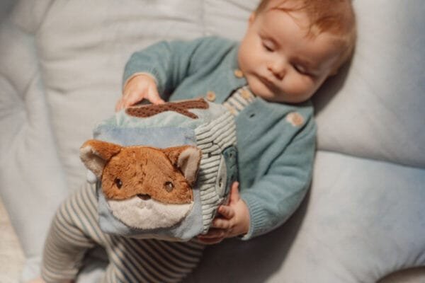 Little Dutch Minkštas veiklos kubas "Forest Friends" GRS